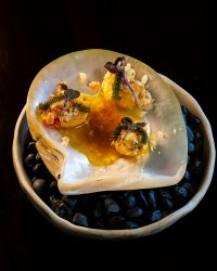 COURSE 1 - SCALLOP NANIURA