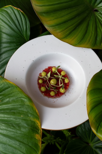 COURSE 1 WATERMELON GOHU