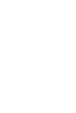 the SPA b
